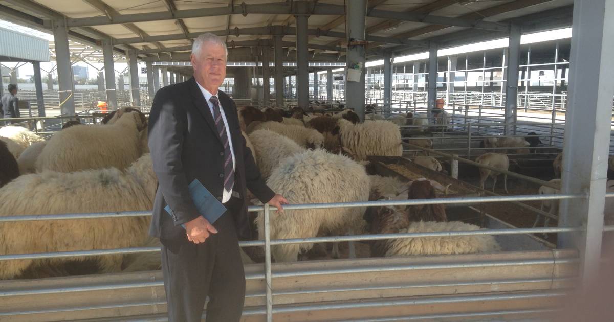 PGA meets with senators in Canberra on sheep live export debate | Farm Weekly