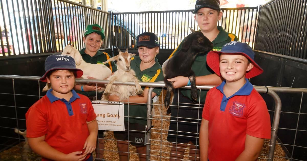 Gates flung open on 150th Tamworth Show