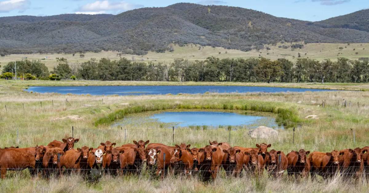 Cattle country offered with subdivision potential | Video