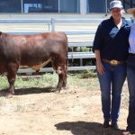 WA’s Stone Axe secures showcase Vic Wagyu property