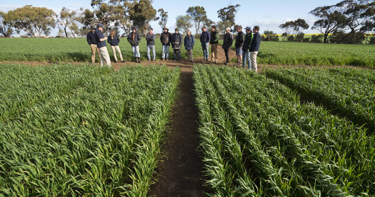 100 years of trials and research in WA