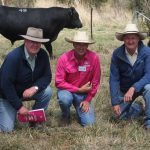 Qld Ag Show Awards 2023 nominees for Outstanding Individual Contribution Award revealed | Queensland Country Life