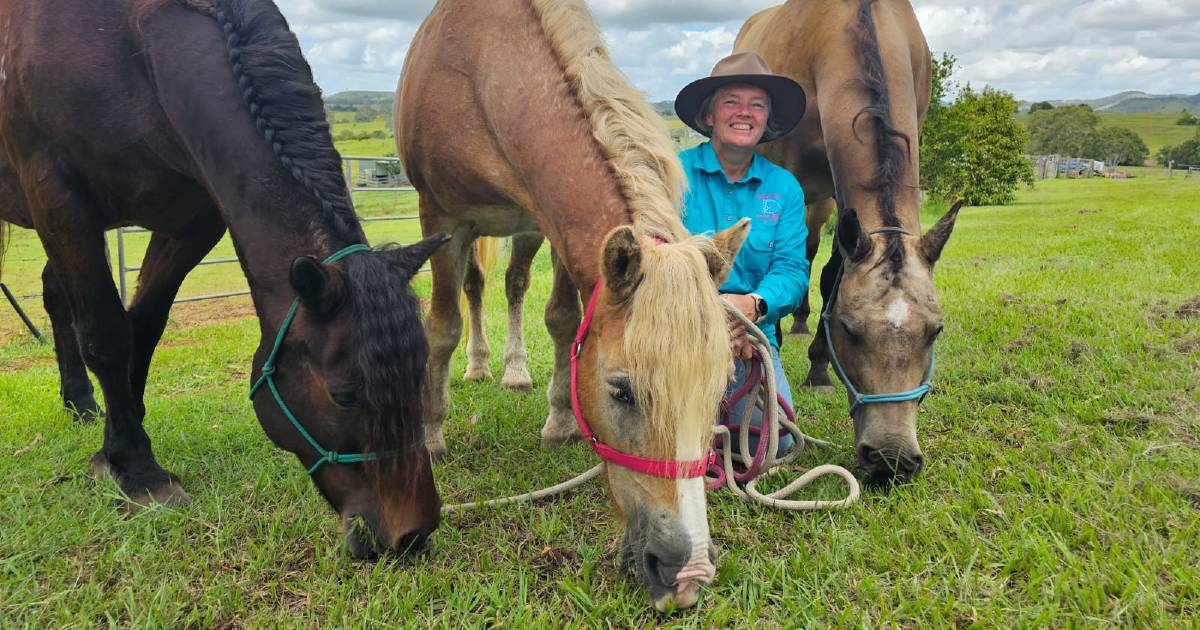 Horse ride from Gympie to Longreach offers hope to communities