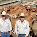 Roxborough Downs escapes inundation from Georgina River flood | The North West Star