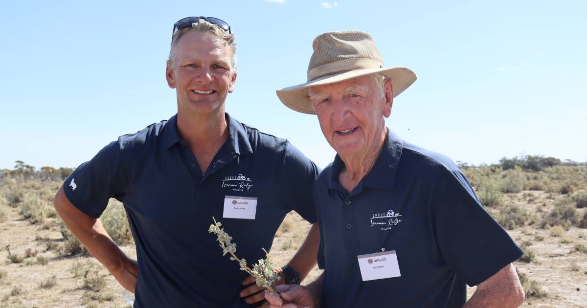 WA Livestock Research Council hosts Livestock Matters forum | Farm Weekly