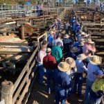 Graziers appointed to chair positions on NABRC committees