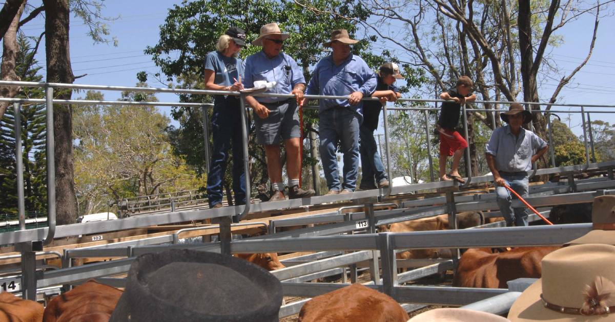 Cow, heifer and feeder market eases at Woodford