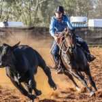 Red Meat R&D: One of Australia’s first AI-driven automated beef scribing systems installed