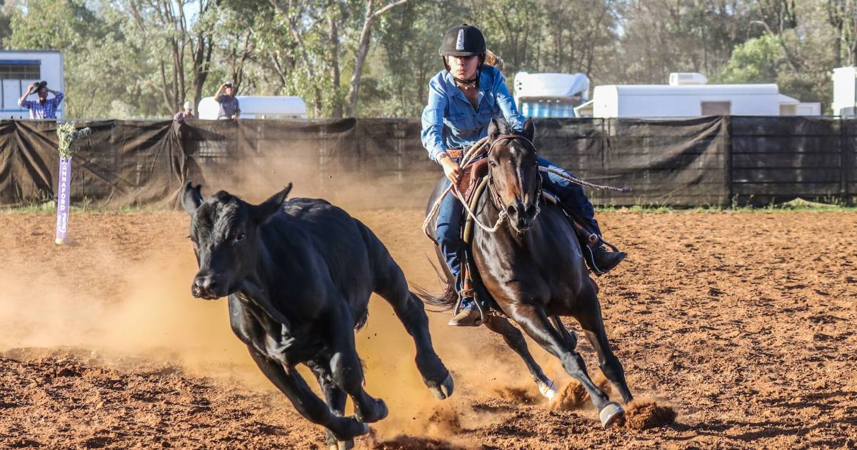 Hannaford/The Gums Campdraft attracts local competitors | Queensland Country Life