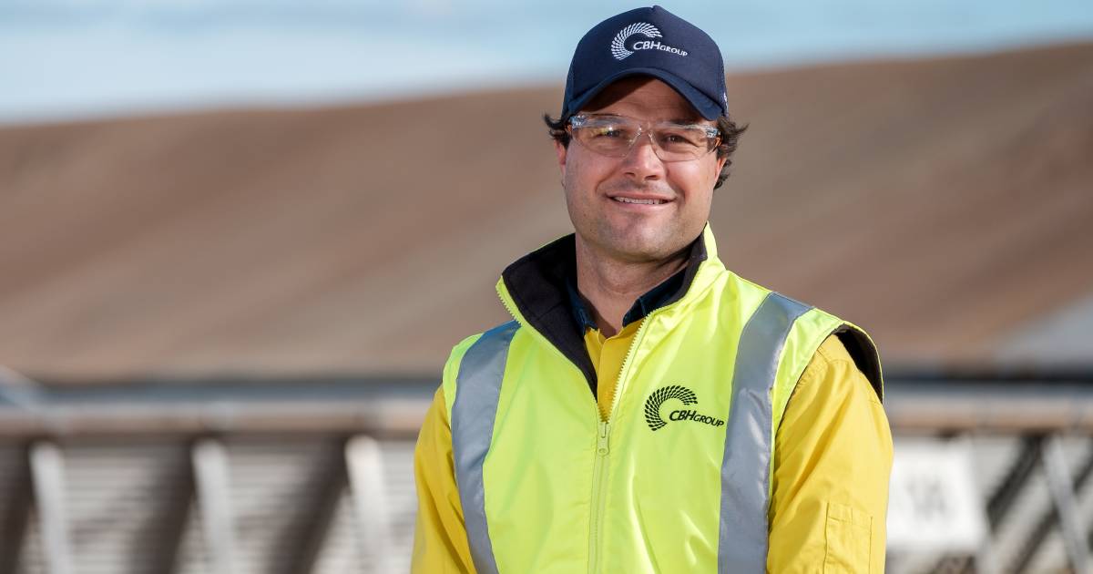 CBH plans for switch from sheep to grain