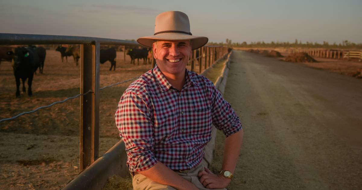 Member for Burdekin calls out closure of police communications offices in the north