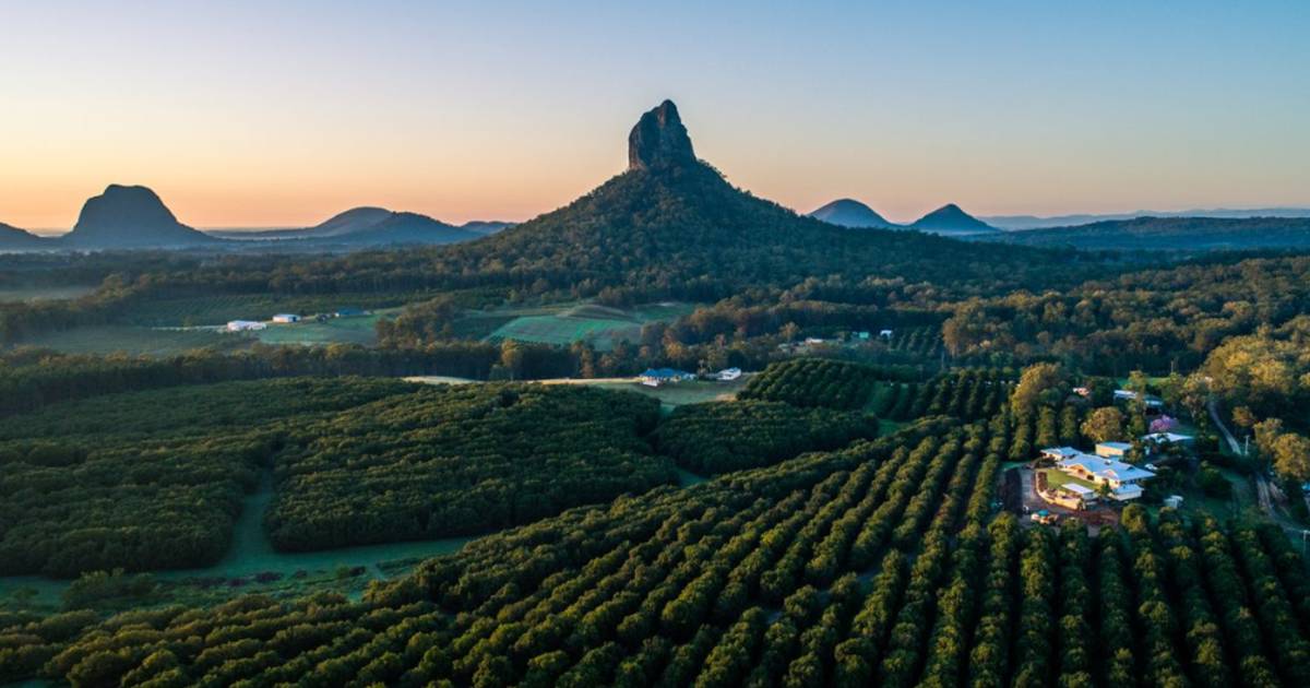 Stunning Glass House Mountains farms hit the market | Queensland Country Life