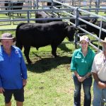 Sustainable framework guiding the success of this indigenous-owned pastoral company