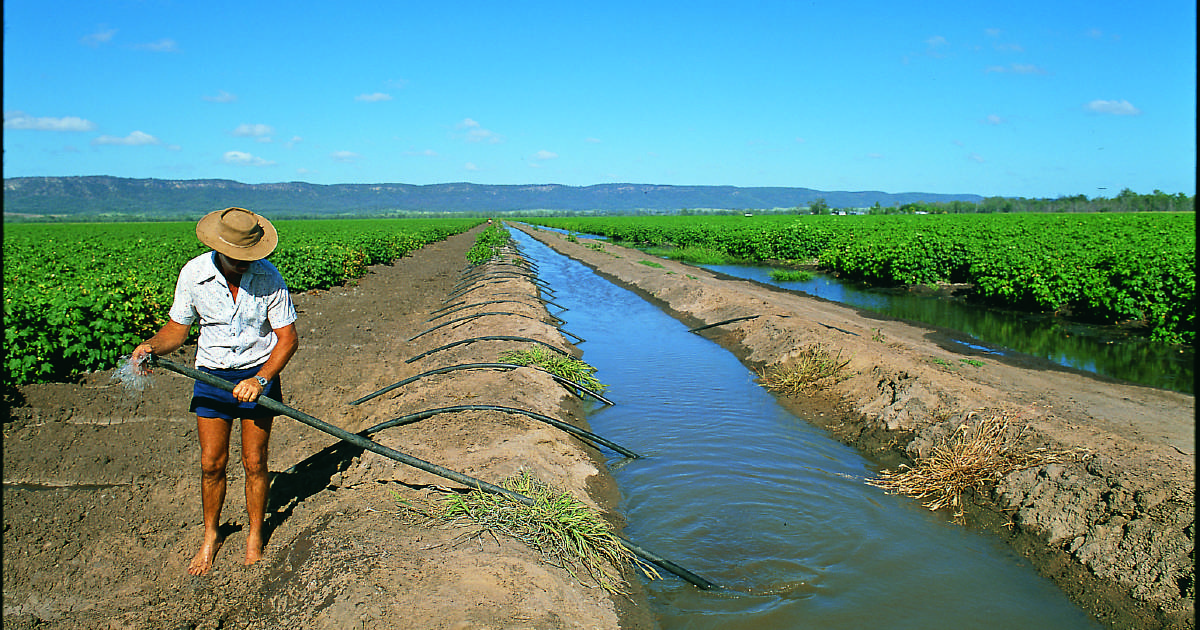 Government to hold closed water buyback information sessions, citing COVID concerns