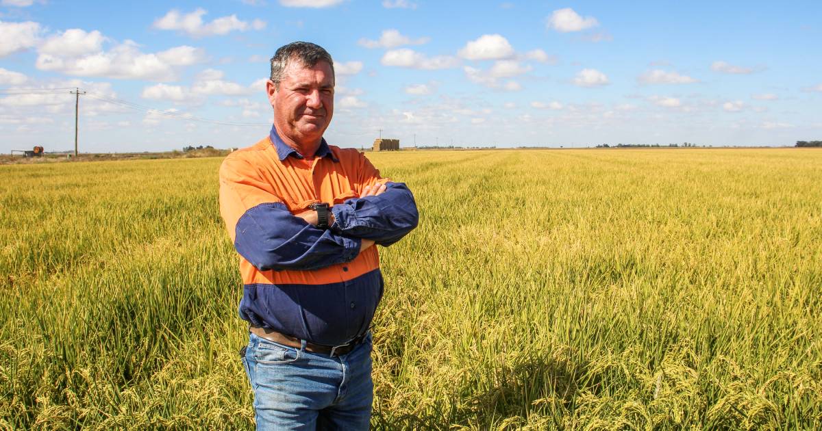 Property values skyrocket affecting next gen of farmers | The Land