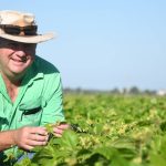 Diversification key to success for central Queensland’s indigenous-owned Woorabinda Pastoral Company | North Queensland Register