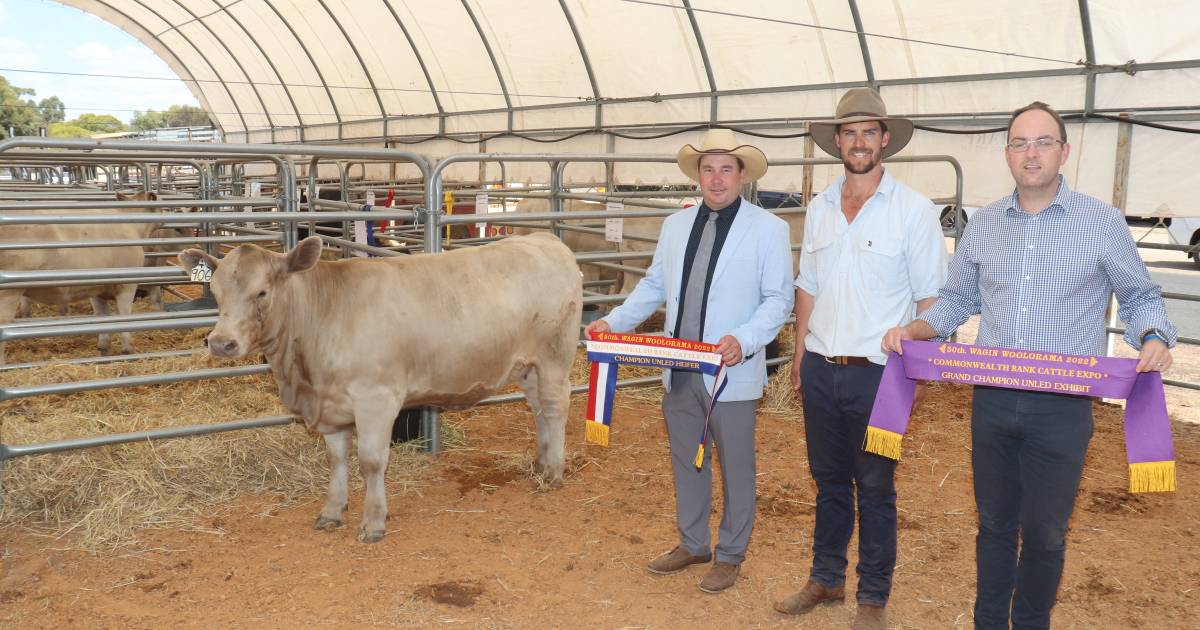 Southend Murray Greys dominate Commonwealth Bank Cattle Expo | Farm Weekly