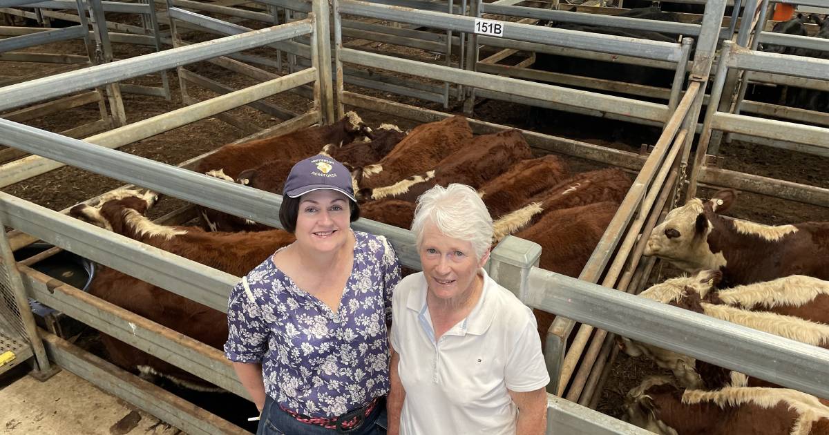 Rain renews NSW weaner market