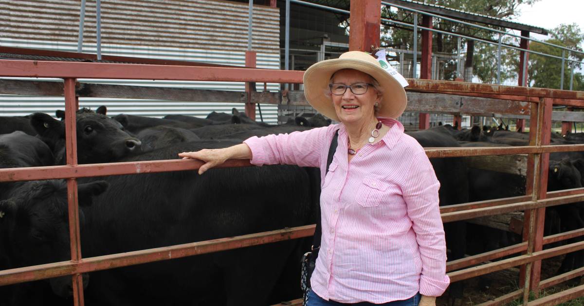 Stanthorpe Blue Ribbon Weaner didn't disappont