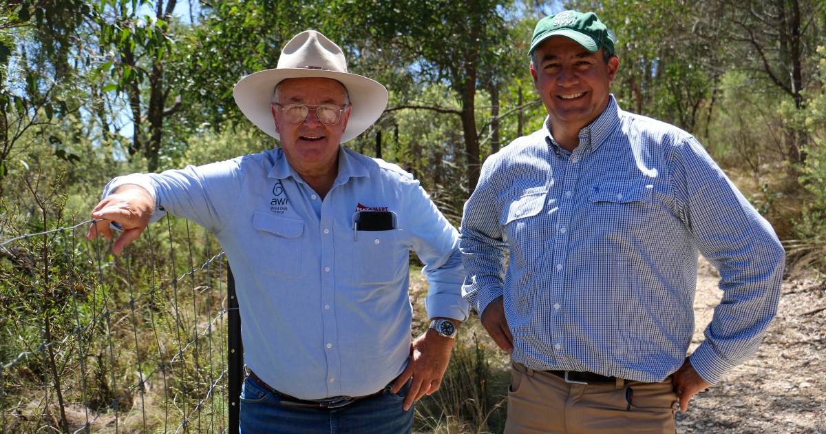 Wild dogs in focus at Armidale symposium | The Land