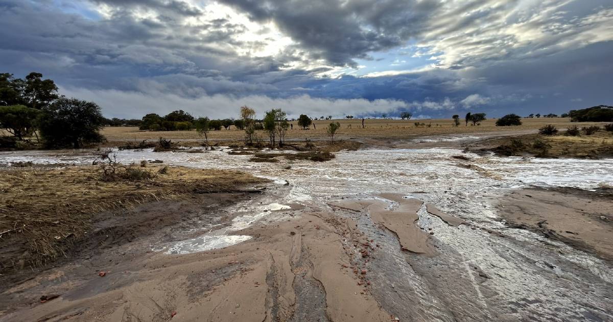 Beverley farms received up to 85mm of rain, while Meckering suffered damage from hail over the weekend. | Farm Weekly