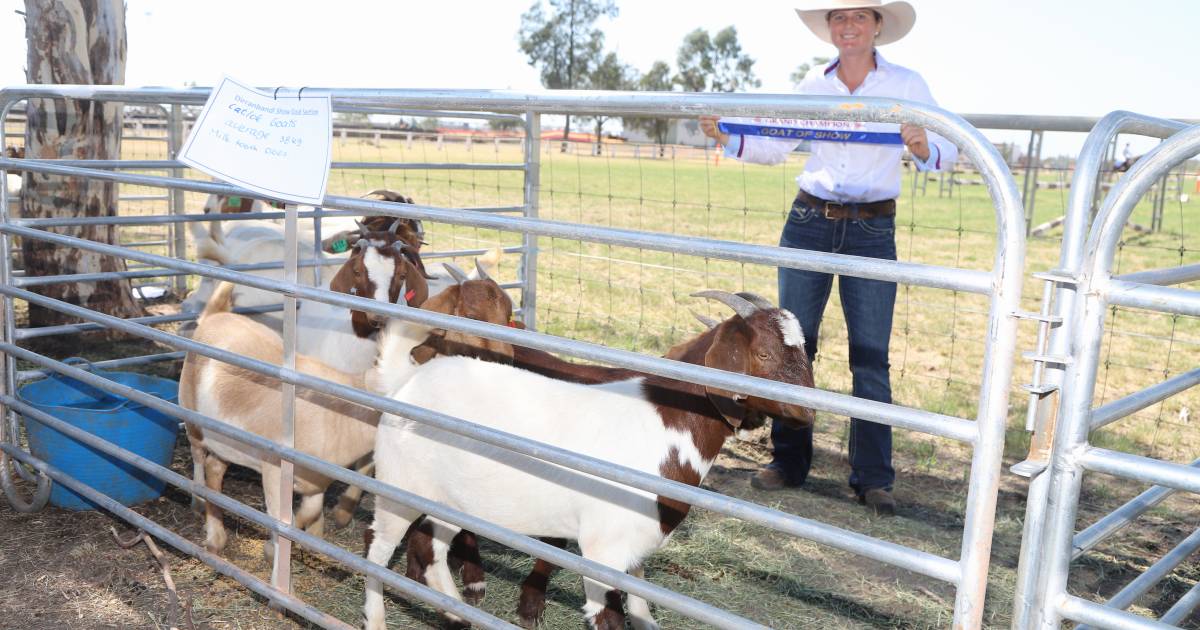 Inaugural Dirranbandi Show goat section supported by four operations | Queensland Country Life