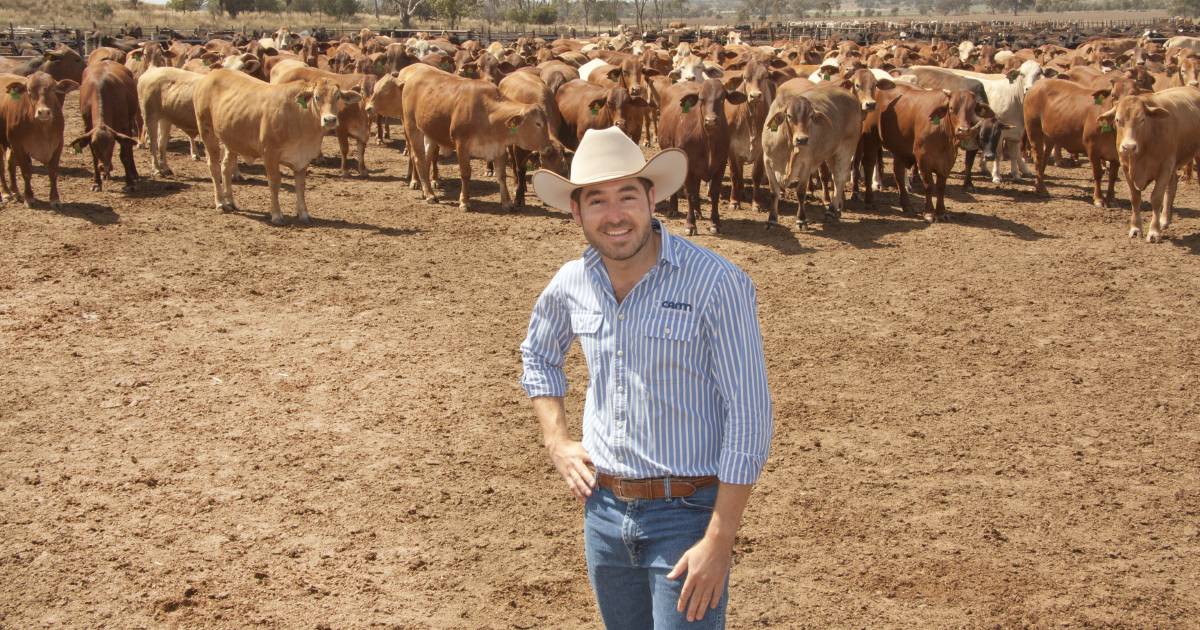 TSBE to host Protein 2023 conference in Dalby on March 22 | Queensland Country Life