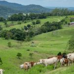 Horse ride from Gympie to Longreach offers hope to communities