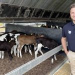 Elizabeth's legacy carries on at National Droughtmaster Female Sale