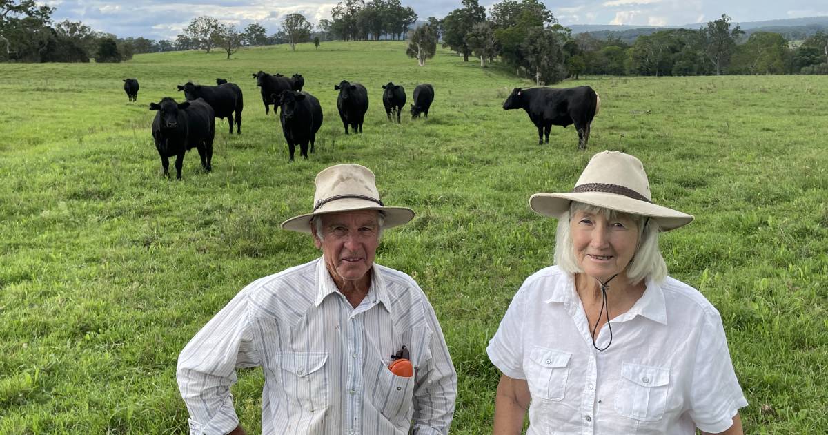 Export future back on the upswing as old bullockies stick to what they know | The Land