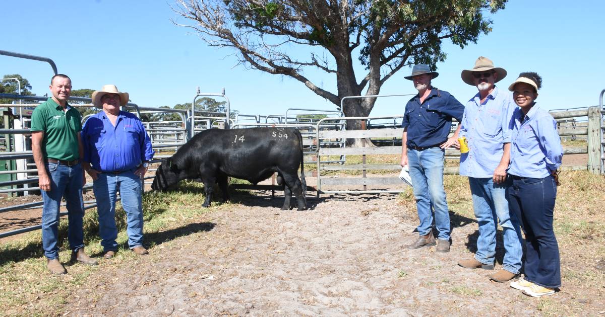 Bannitup and Naranda sale tops at $14,500 at Esperance | Farm Weekly