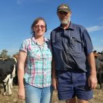 Selecting your replacement heifers to meet long-term herd goals