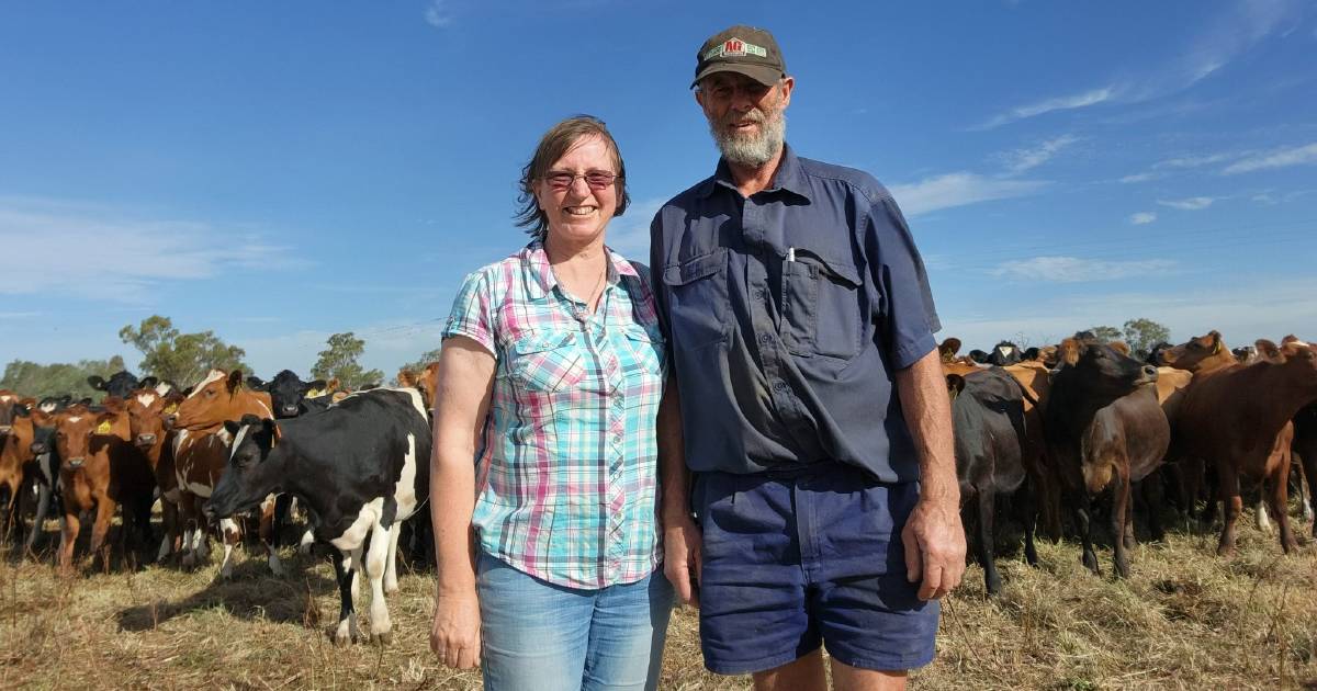 Irrigation key to Riverina life