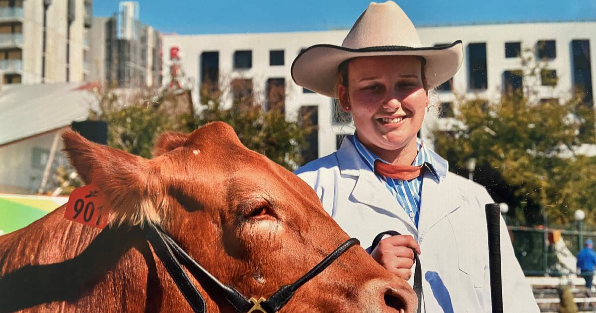 Elizabeth's legacy carries on at National Droughtmaster Female Sale