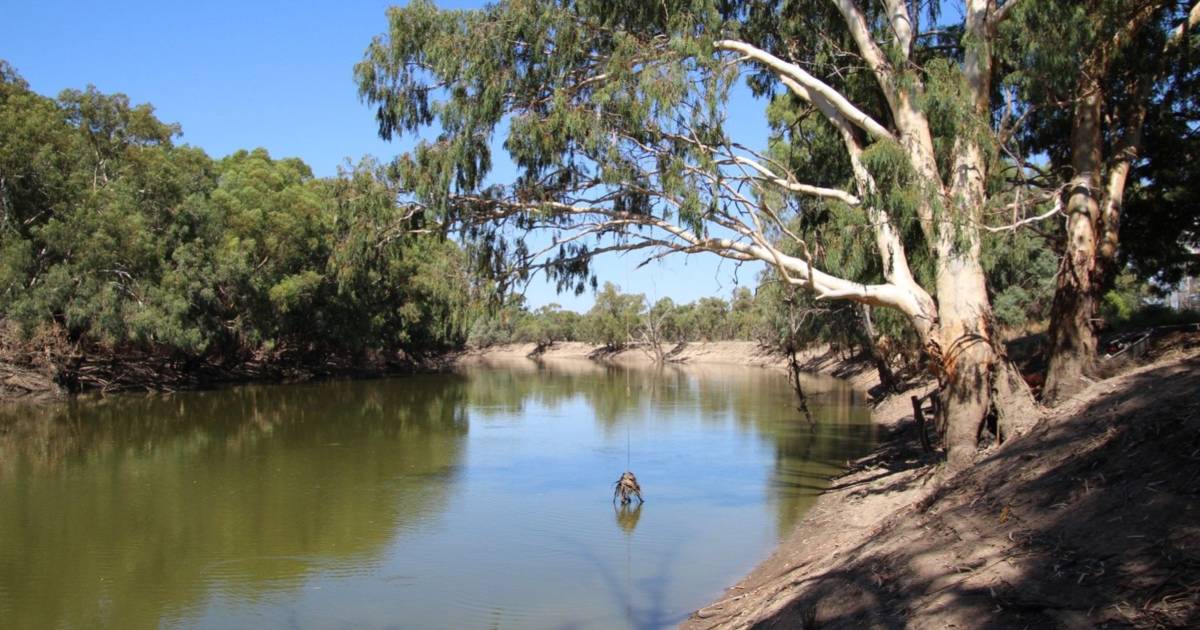 Diverse river country with good feed on the market | Video