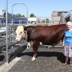 Rain and market hike drives Stanthorpe weaner sale