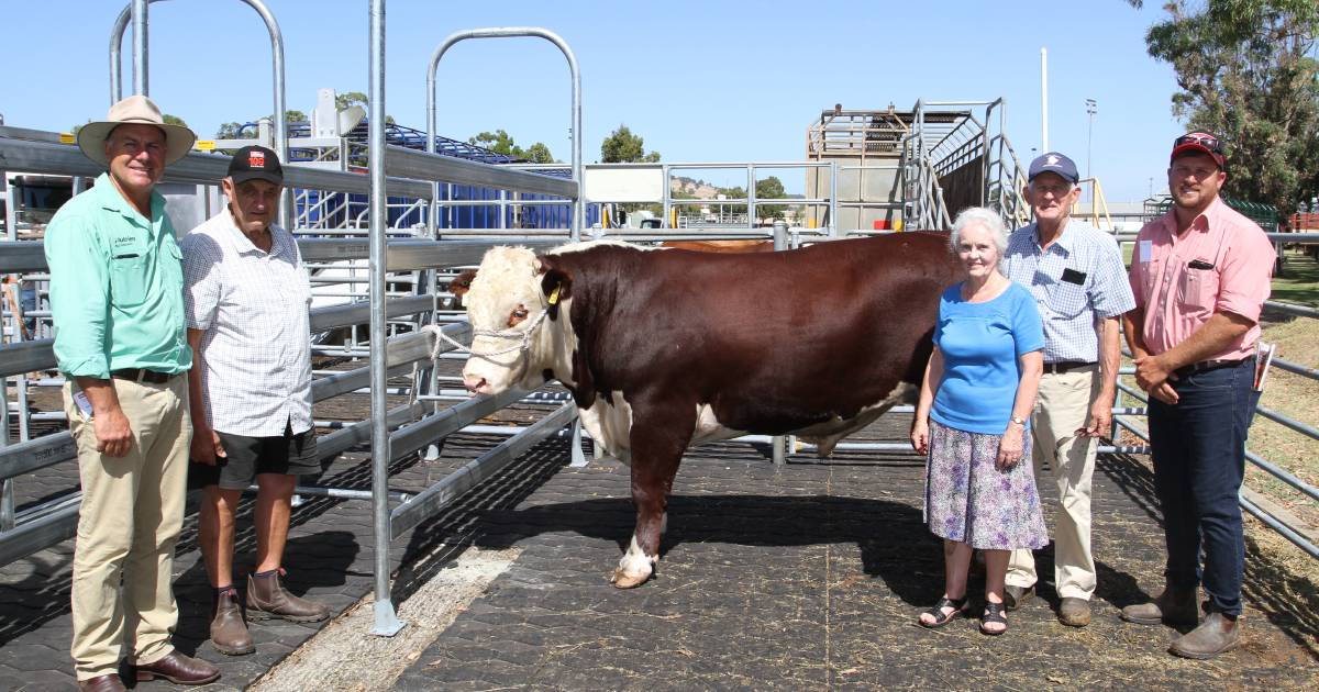 Yallaroo Hereford sells to $30,000 at WALSA Farm Weekly WA Supreme Bull Sale at Brunswick. | Farm Weekly