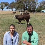 Cattle market positive ahead for producers