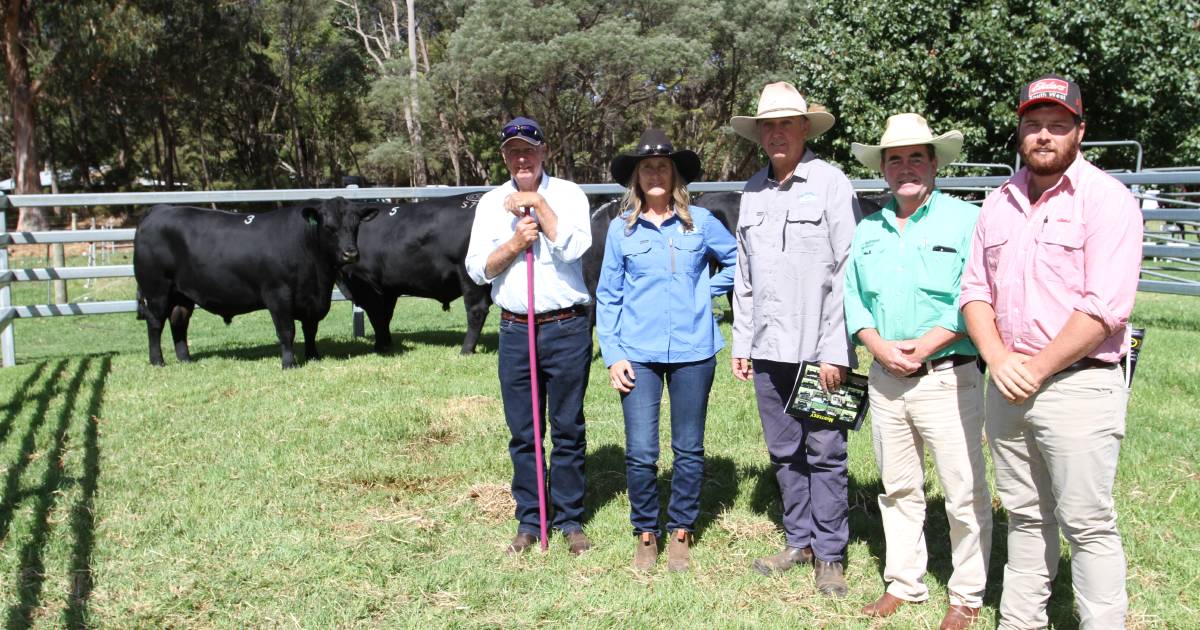 Monterey Sentry S53 sells to $25,000 at Karriedale | Farm Weekly