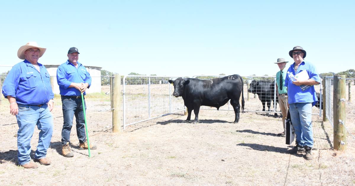 Best ever result for Allegria Park Angus