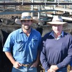 Lindesay View Limousins win grand champion led steer ribbon at 2023 Royal Toowoomba Show | Photos | Queensland Country Life