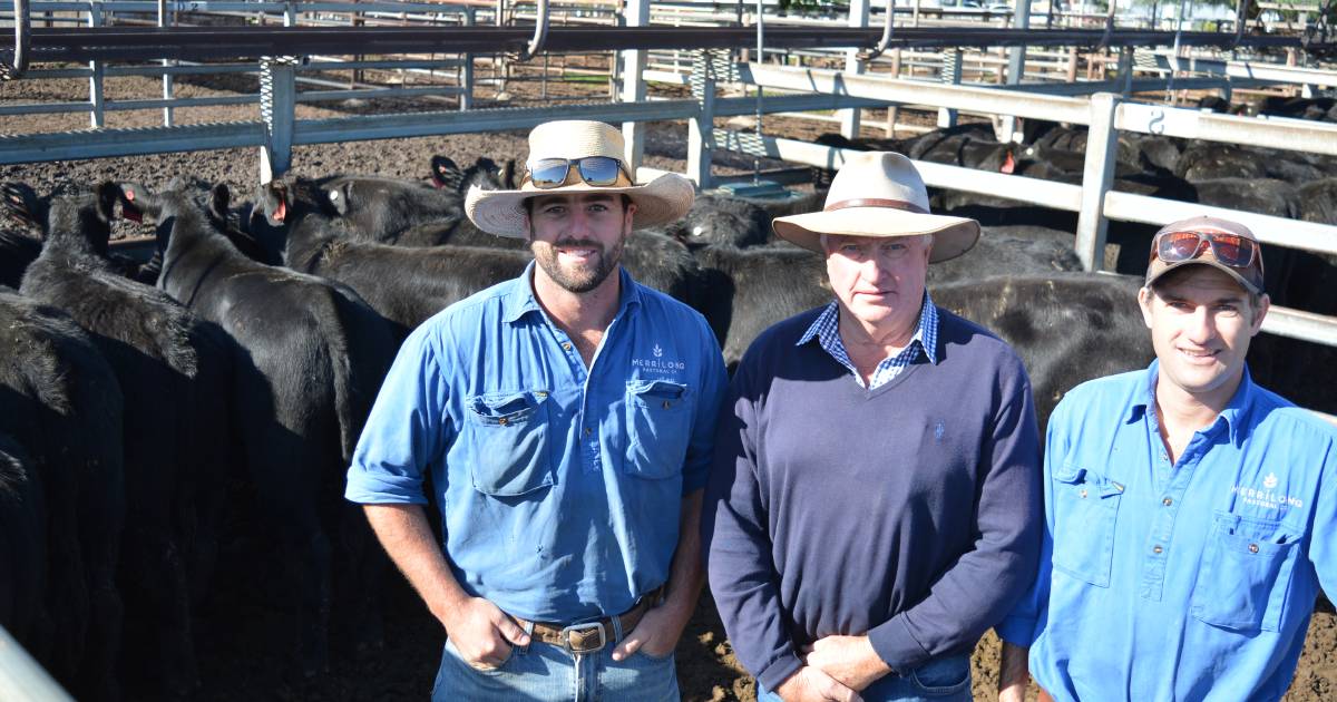 Premium for quality at Gunnedah's Powerhouse offering