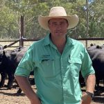 Hereford bulls at Cootamundra sold to $16,000