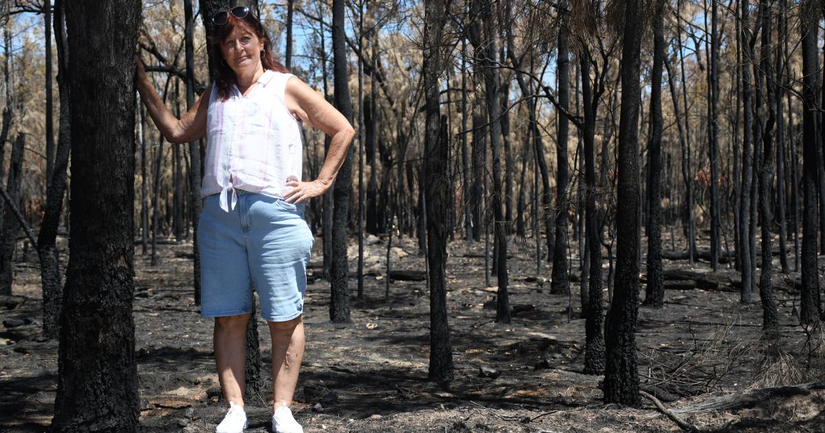 Wieambilla residents still standing after bushfires ravage community