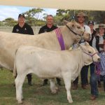 Murray Regional Equestrian Centre to host Elite horse days | Farm Weekly