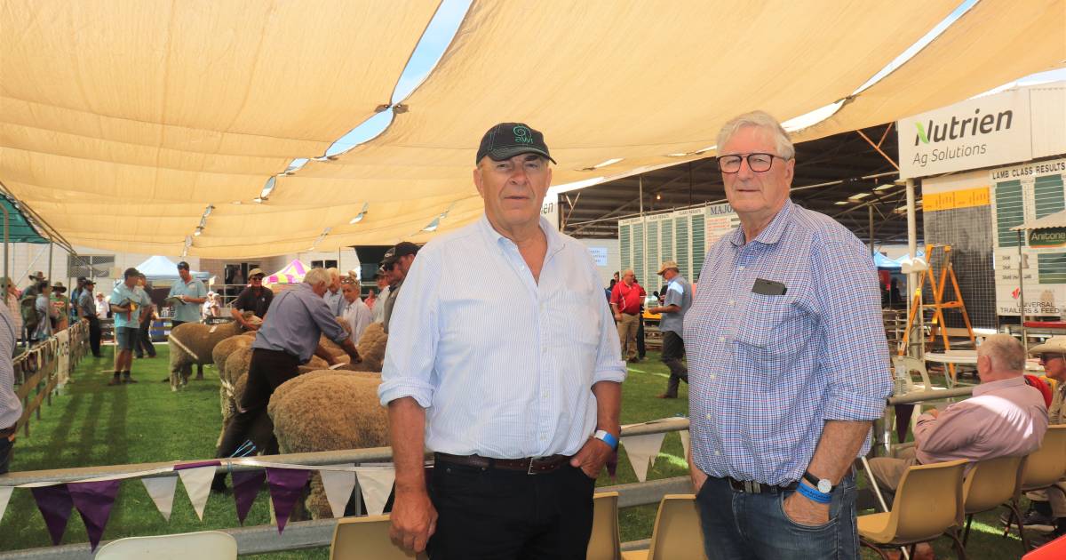 AWI stays neutral on sheep live export debate | Farm Weekly