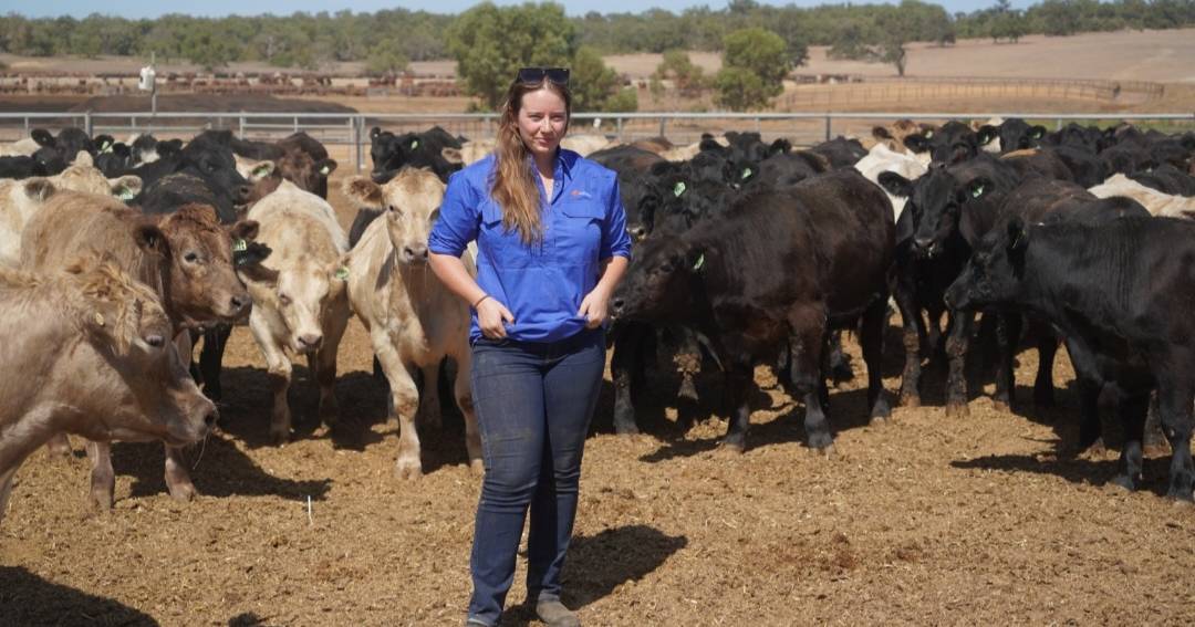 Feedlot ambassador finalists are named