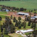 Top quality drives prices at first Nebo weaner and feeder feature sale