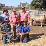 Elizabeth's legacy carries on at National Droughtmaster Female Sale