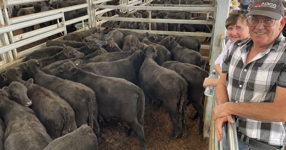 Inverell's weaner steers averaging $1058